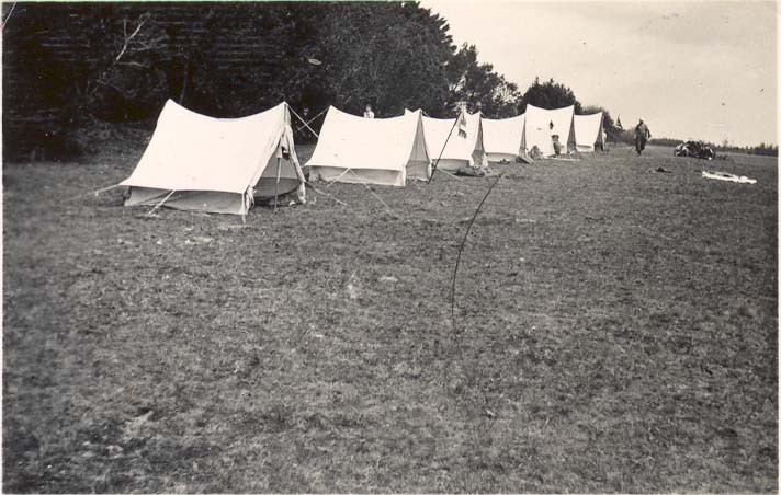 06c