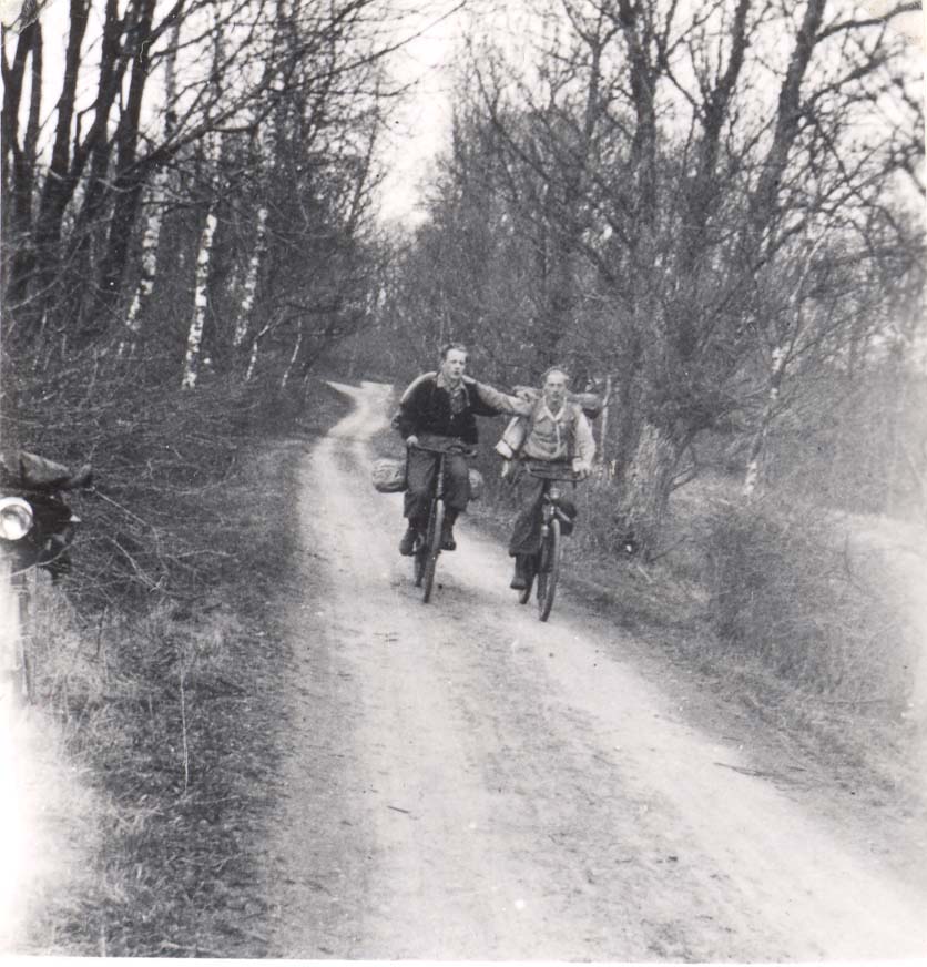 14b