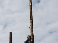 IMG 9697